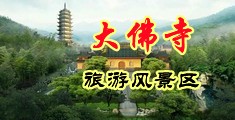 一级黄色大片,操逼逼中国浙江-新昌大佛寺旅游风景区